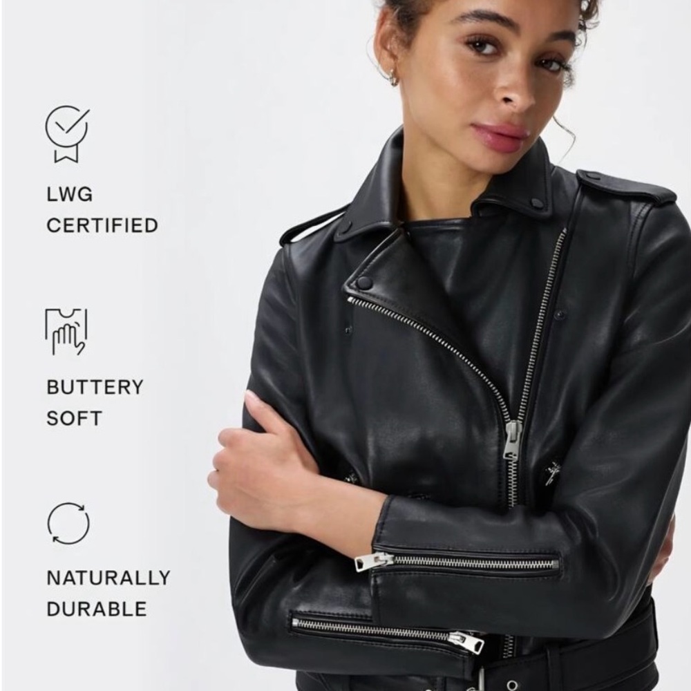 Quince Leather Motorcycle Jacket - Picture 4 of 6